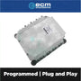 Volvo 60100002  ECM | ECU | Excavators and Graders